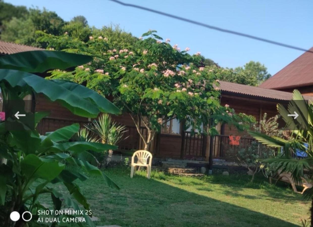 Ковчег Lidzava Exterior foto
